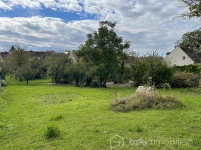 Maison en pierre - 140 m² - 6 pièces