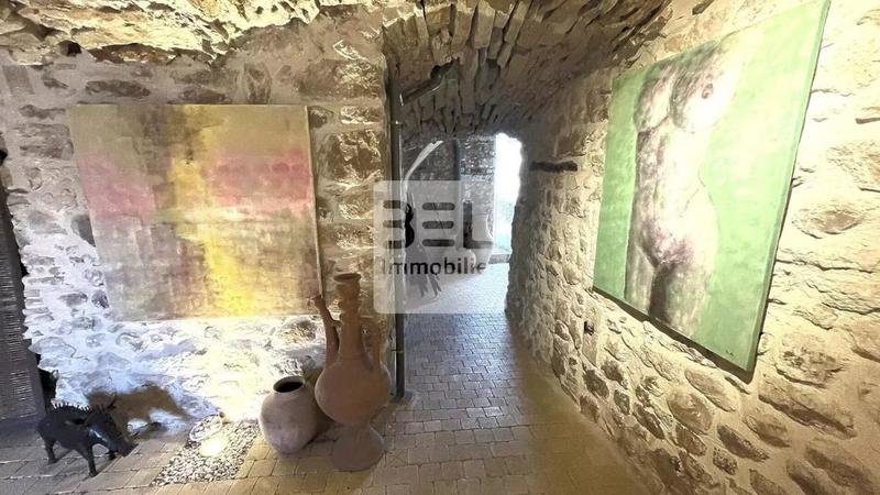 Maison chambre d'hôtes - 280 m² - 10 pièces