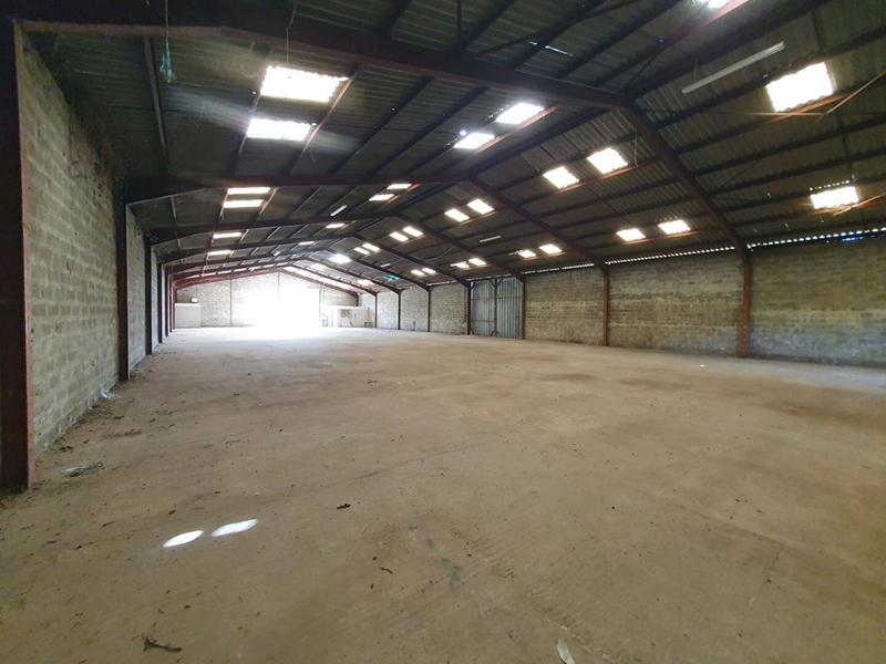 Local d'activité / Entrepôt - 1 000 m²