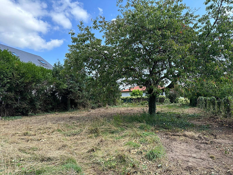 Terrain - 570 m²