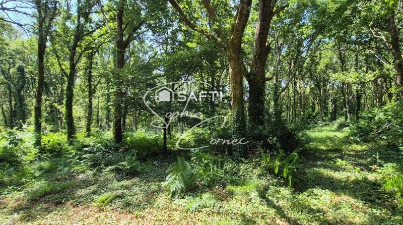 Maison - 155 m² - 6 pièces