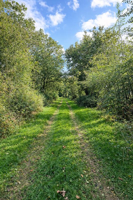 Maison - 165 m² - 9 pièces