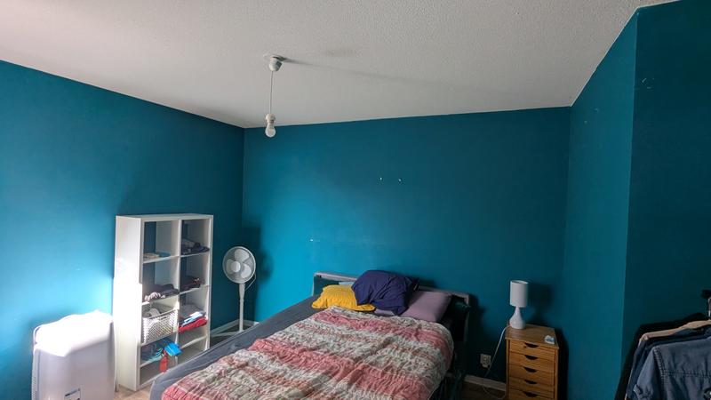 Appartement - 53 m² - 2 pièces