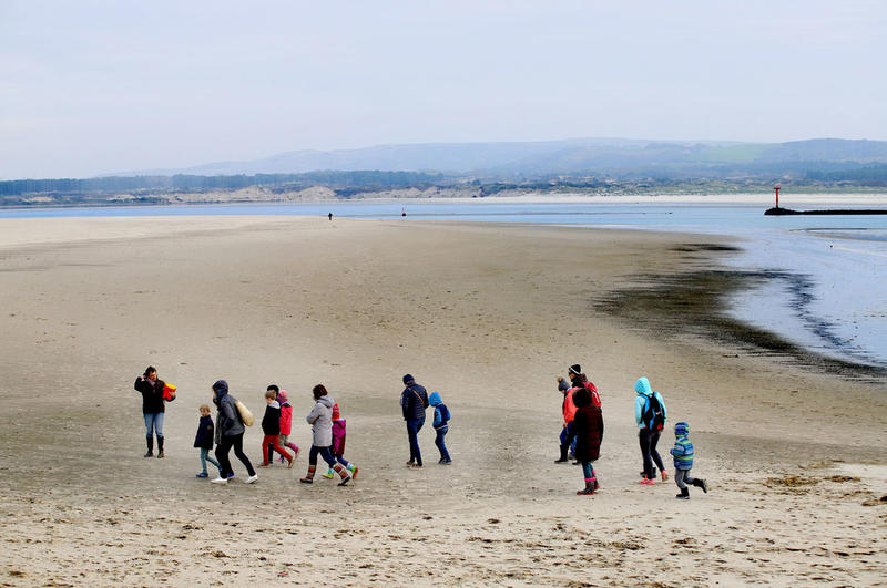 Atelier enfant : la laisse de mer, un trésor déposé sur la plage