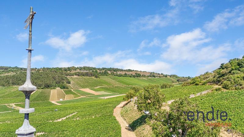 Maison - 163 m² - 6 pièces