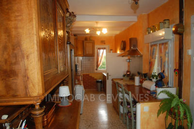 Mas - 250 m² - 9 pièces