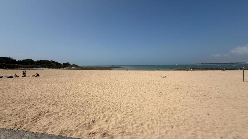 Appartement - 36 m² - 1 pièce