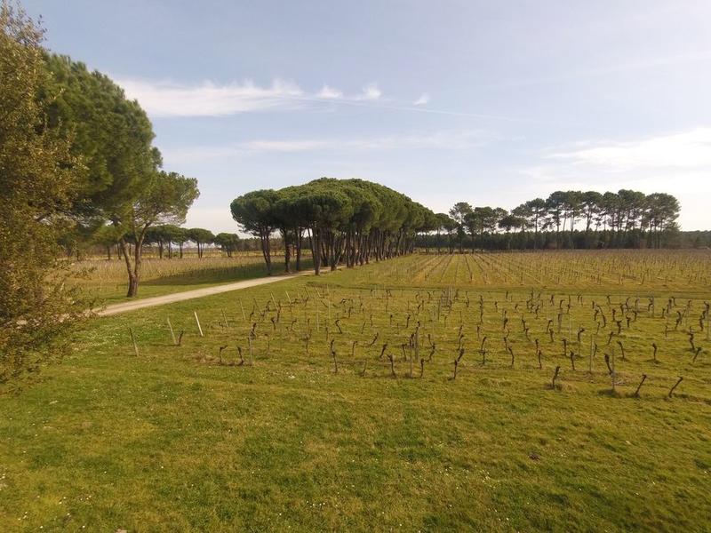 Pavillon - 190 m² - 7 pièces