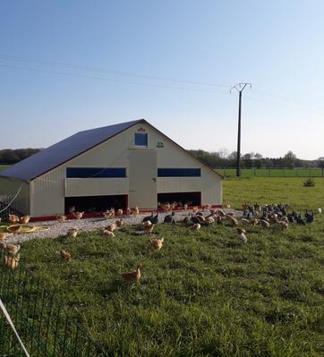Ferme des Grandes Guignières - Earl Gasnier