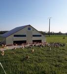 Ferme des Grandes Guignières - Earl Gasnier