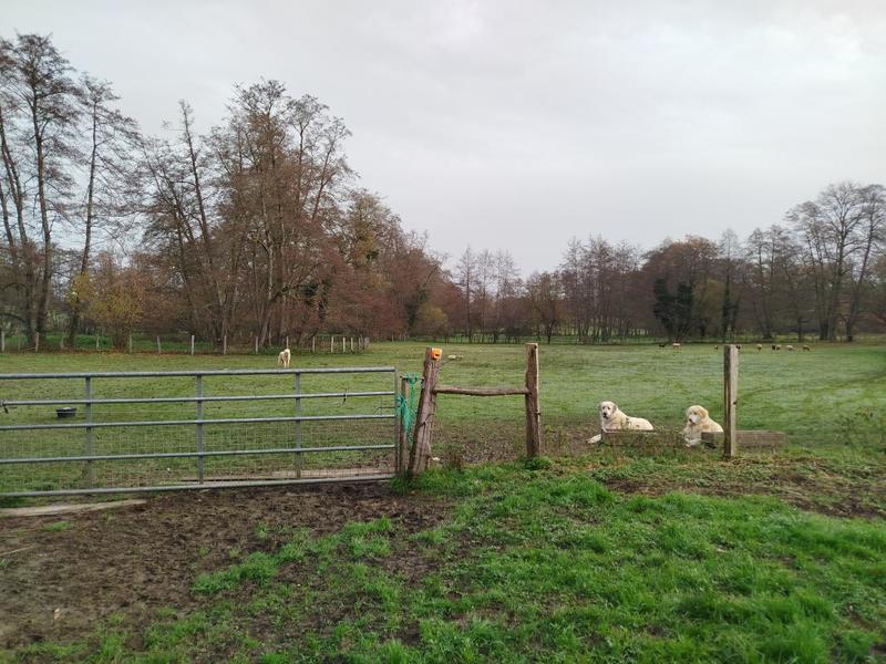 Ferme - 200 m² - 7 pièces