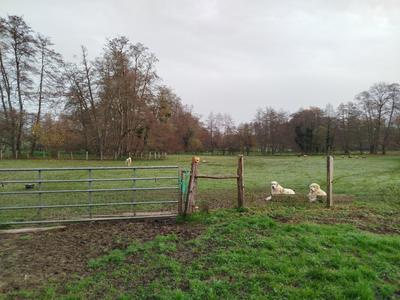 Ferme - 200 m² - 7 pièces