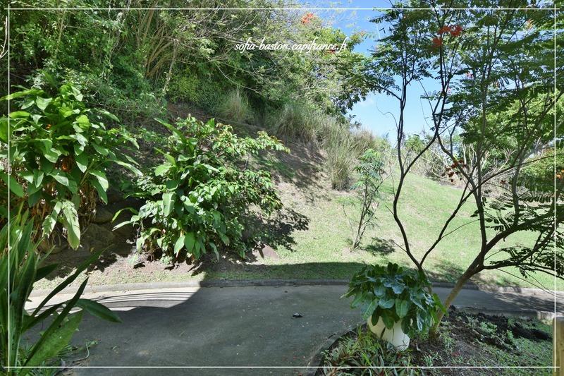 Appartement - 53 m² - 2 pièces