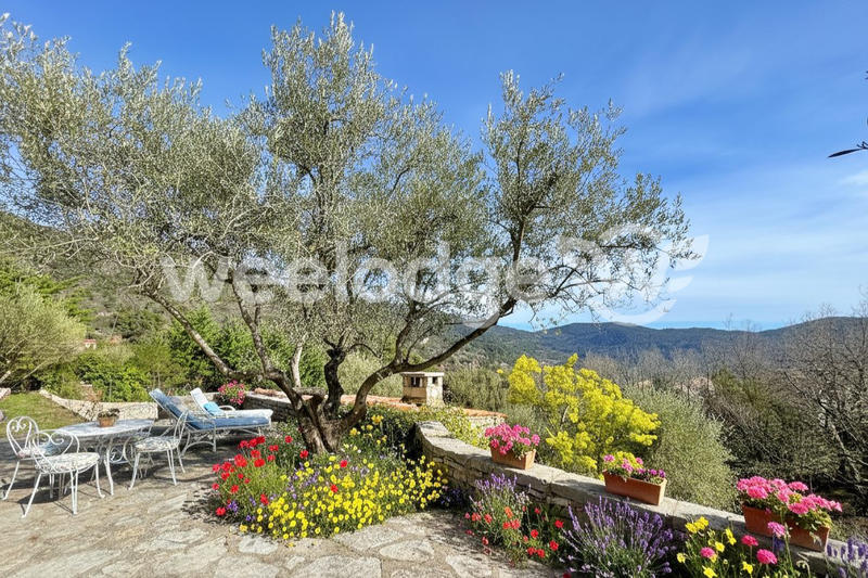 Maison ancienne - 130 m² - 5 pièces