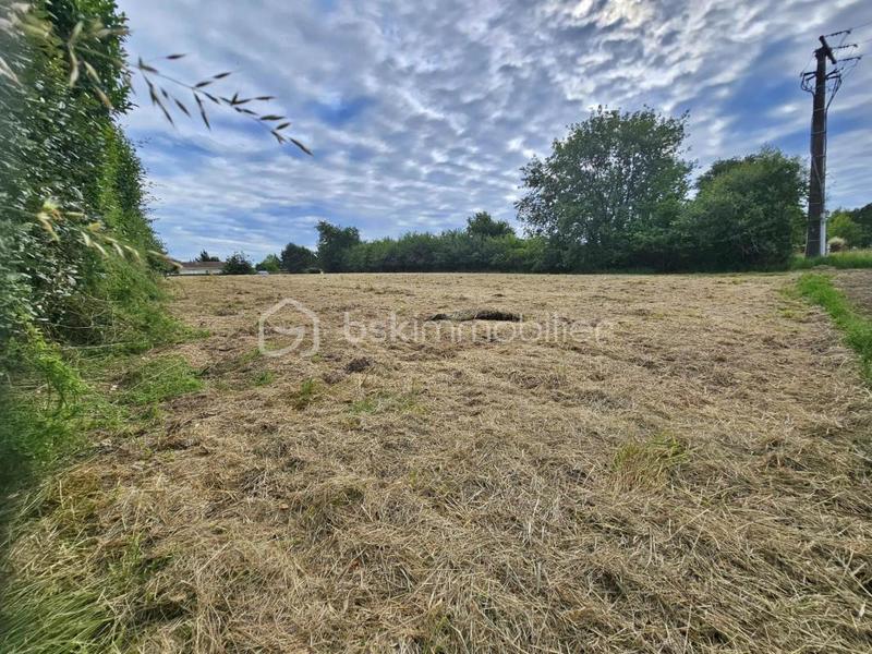 Terrain constructible - 1 137 m²