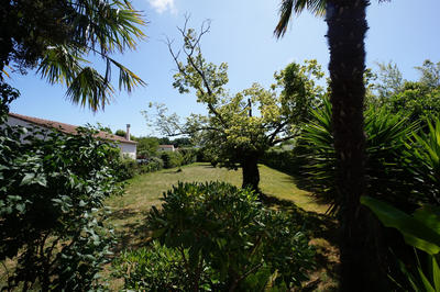 Maison - 180 m² - 6 pièces