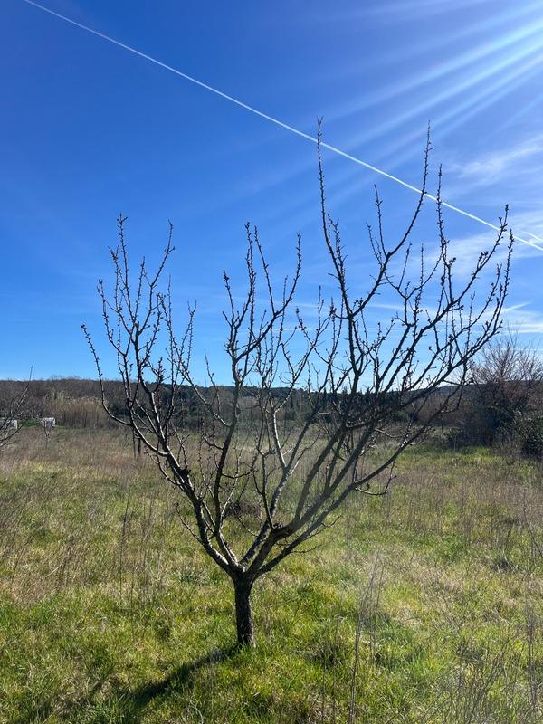 Terrain de loisirs - 2 600 m²