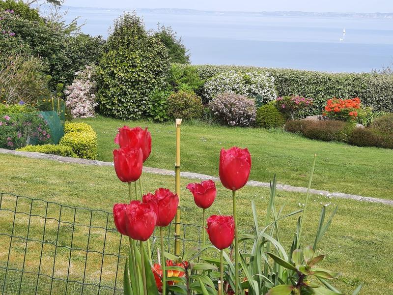 Maison - 196 m² - 8 pièces