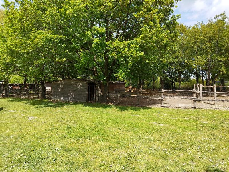 Maison - 221 m² - 10 pièces