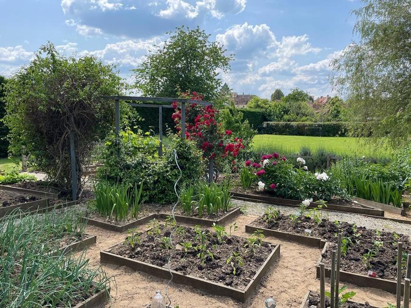 Manoir - 450 m² - 24 pièces