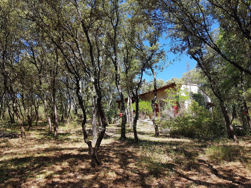 Mas - 750 m² - 20 pièces