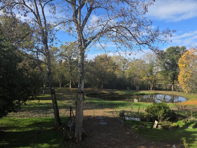 Maison ancienne - 190 m² - 7 pièces