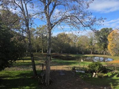 Maison ancienne - 190 m² - 7 pièces