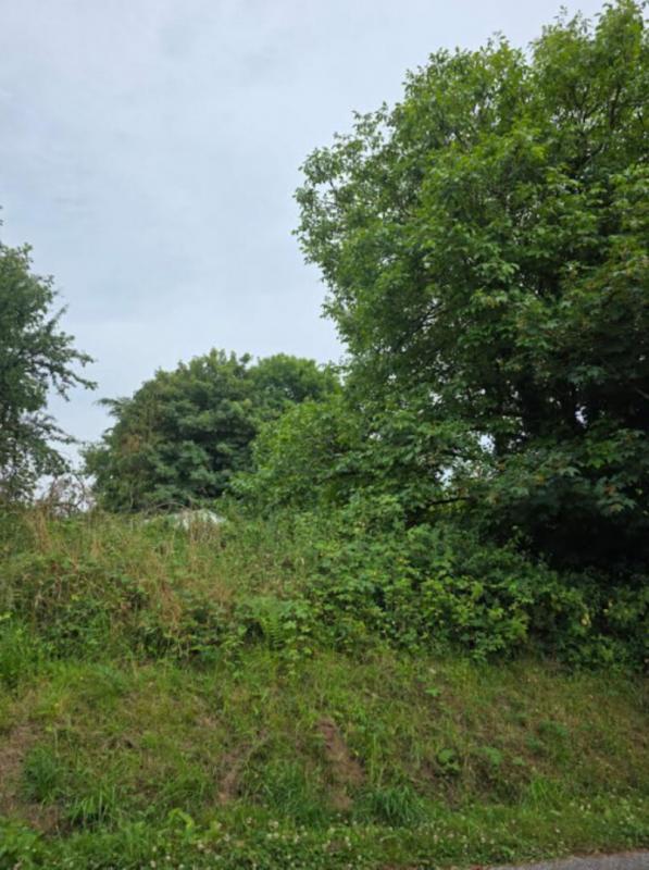 Maison - 54 m² - 4 pièces