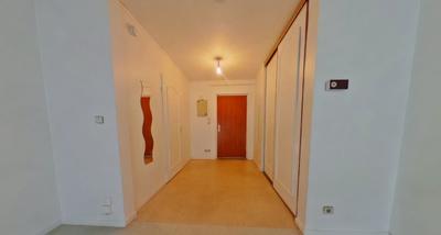 Studio - 37 m² - 1 pièce