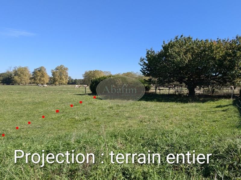 Terrain - 1 118 m²