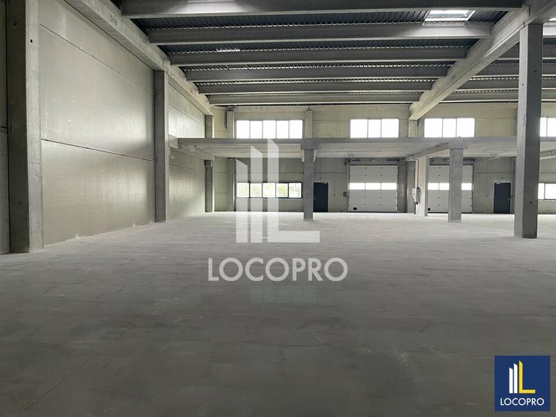 Local d'activité / Entrepôt - 3 432 m²