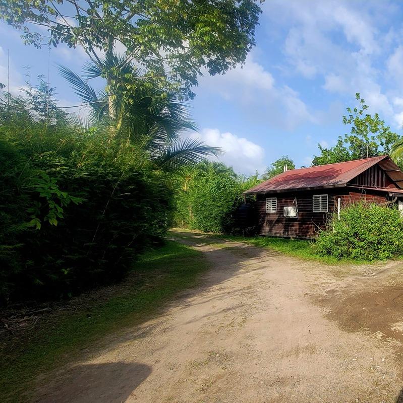 Maison - 137 m² - 5 pièces