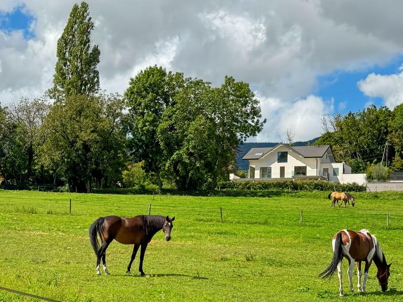 Maison - 234 m² - 7 pièces