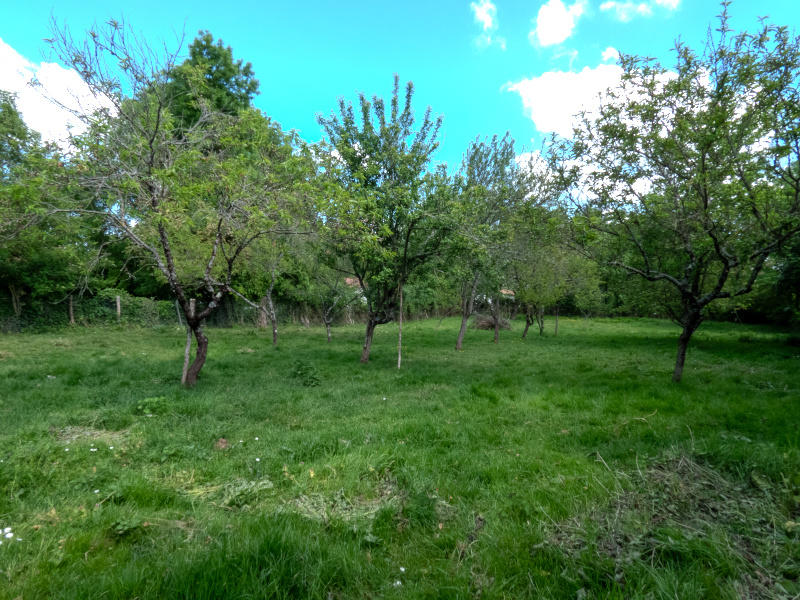 Maison - 240 m² - 3 pièces