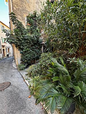 Maison de village - 83 m² - 3 pièces