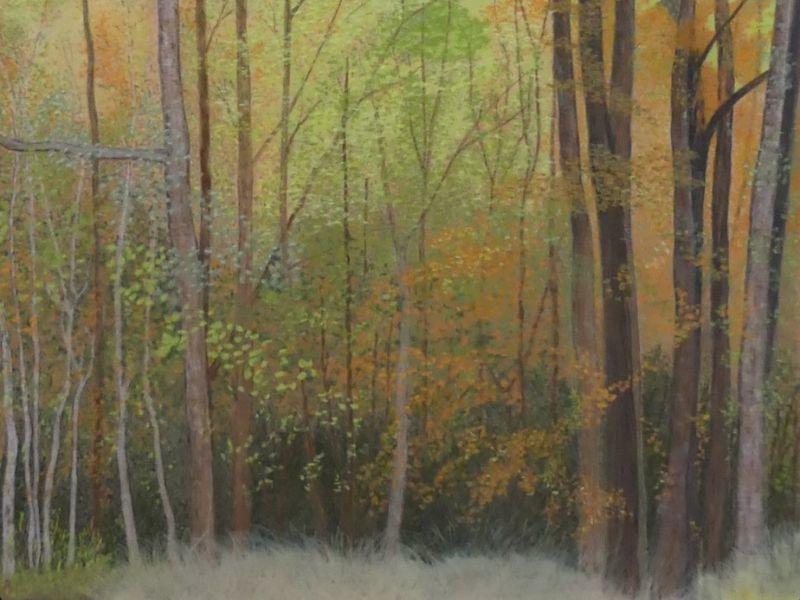 Halle &amp; Arts : Expo de Peintures