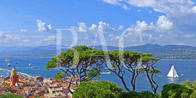 Villa - 250 m² - 9 pièces