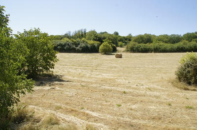 Maison - 200 m² - 8 pièces