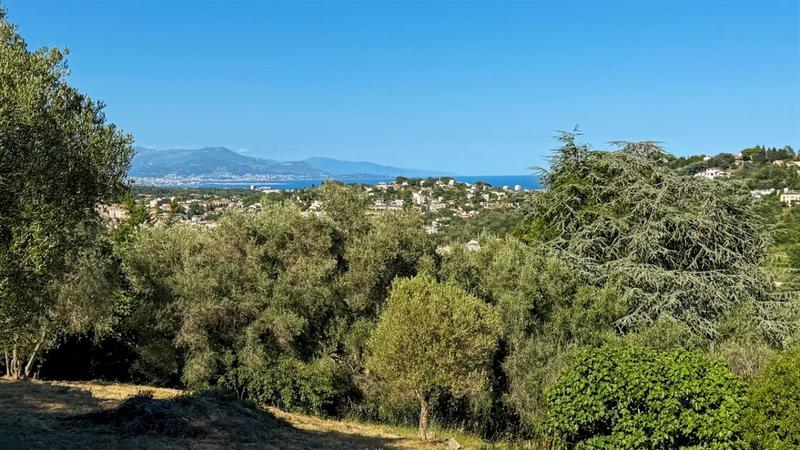 Terrain constructible - 1 600 m²