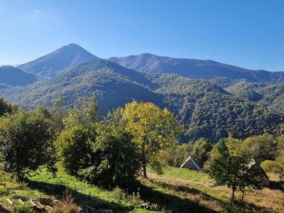 Maison - 217 m² - 5 pièces