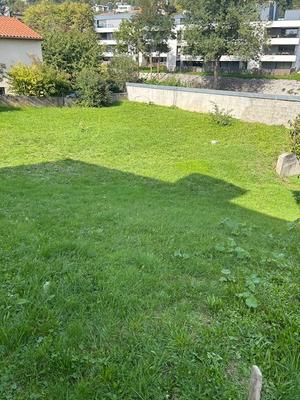 Terrain - 539 m²