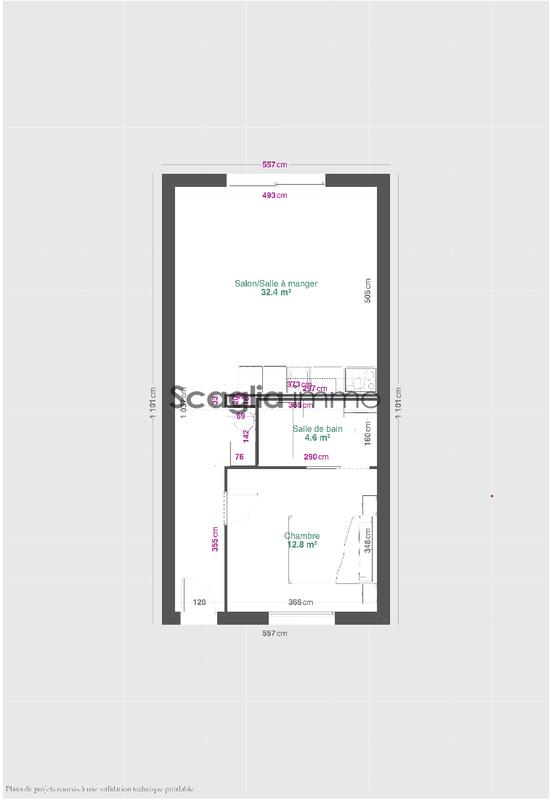 Appartement - 50 m² - 2 pièces
