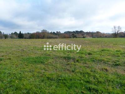 Terrain - 2 542 m²