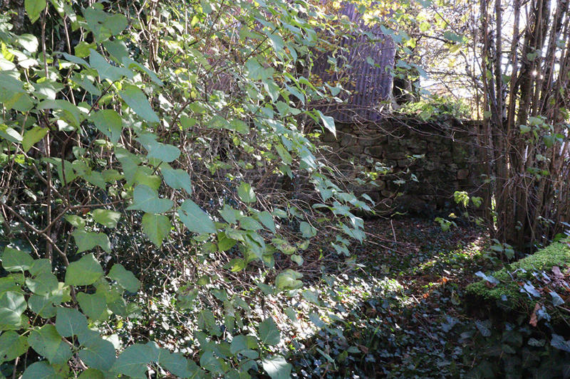 Maison - 45 m² - 1 pièce