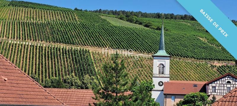 Maison bourgeoise - 277 m² - 6 pièces