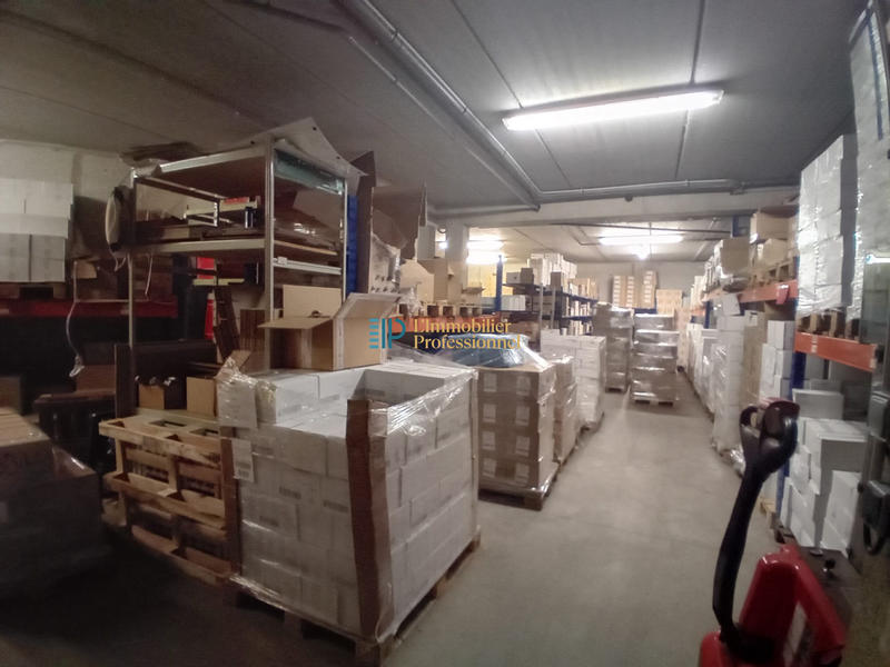 Local d'activités - 1 284 m²