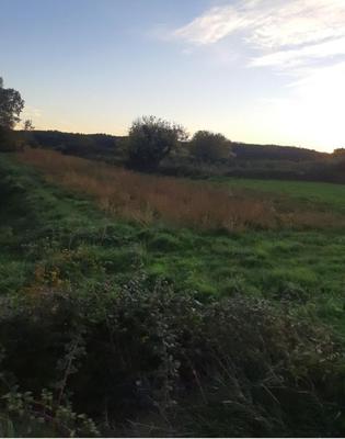 Terrain agricole - 2 000 m²