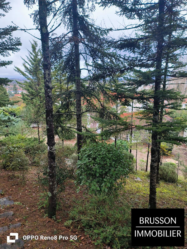 Villa - 256 m² - 6 pièces