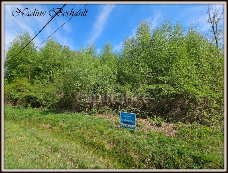Terrain constructible - 3 921 m²