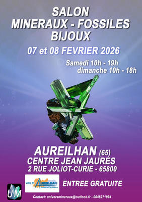 Bourse minéraux, fossiles, bijoux de créateur